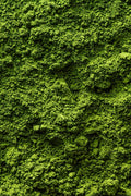 Close up of organic moringa powder, a natural superfood for energy, nutrition, and daily wellness.