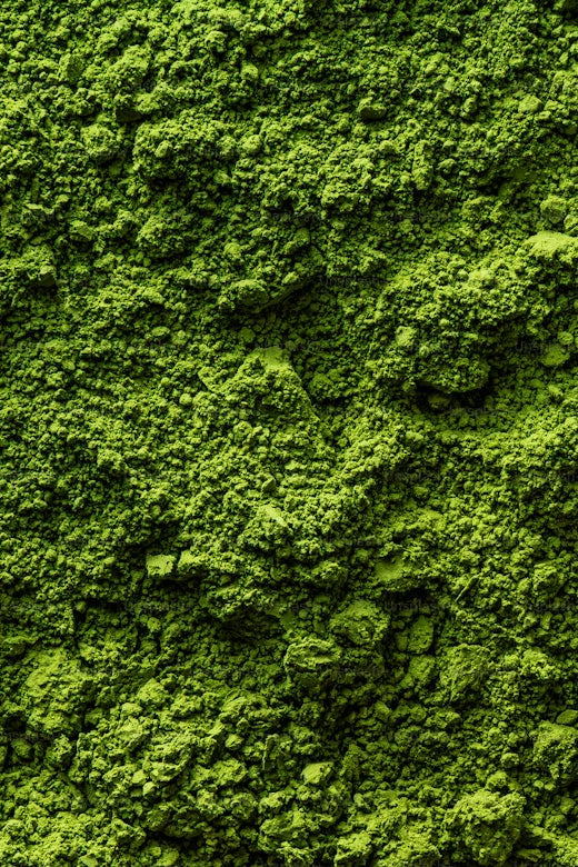 Close up of organic moringa powder, a natural superfood for energy, nutrition, and daily wellness.