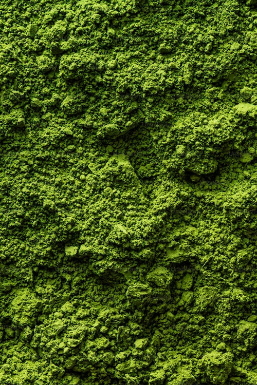 Close up of organic moringa powder, a natural superfood for energy, nutrition, and daily wellness.